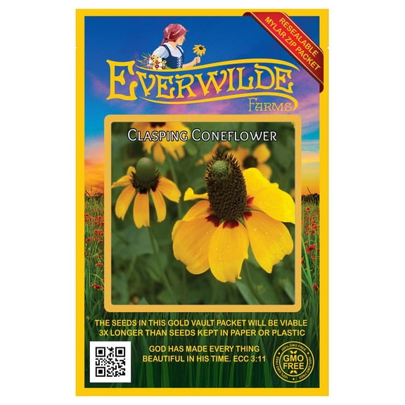 Everwilde Farms - 2000 Clasping Coneflower Native Wildflower Seeds - Gold Vault Jumbo Bulk Seed Packet