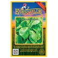 thumbnail image 1 of Everwilde Farms - 2000 Clove Scented Basil Herb Seeds - Gold Vault Jumbo Bulk Seed Packet, 1 of 4