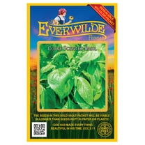 Everwilde Farms - 2000 Clove Scented Basil Herb Seeds - Gold Vault Jumbo Bulk Seed Packet