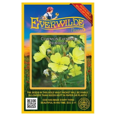 Everwilde Farms - 2000 Common Evening Primrose Garden Flower Seeds - Gold Vault Jumbo Bulk Seed Packet