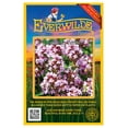 thumbnail image 1 of Everwilde Farms - 2000 Creeping Thyme Wildflower Seeds - Gold Vault Seed Packet, 1 of 5