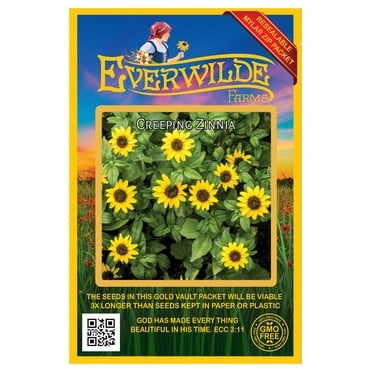 Everwilde Farms - 2000 Creeping Zinnia Garden Flower Seeds - Gold Vault Jumbo Bulk Seed Packet