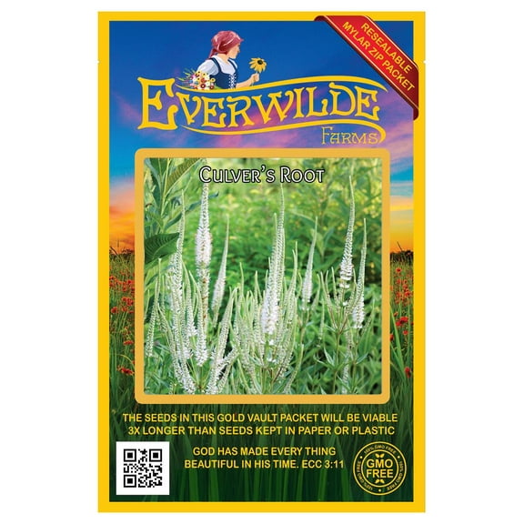 Everwilde Farms - 2000 Culver's Root Native Wildflower Seeds - Gold Vault Seed Packet