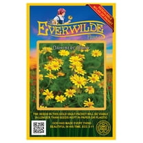Everwilde Farms - 2000 Dahlberg Daisy Native Wildflower Seeds - Gold Vault Seed Packet