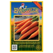 Everwilde Farms - 2000 Danvers Carrot Seeds - Gold Vault Jumbo Bulk Seed Packet