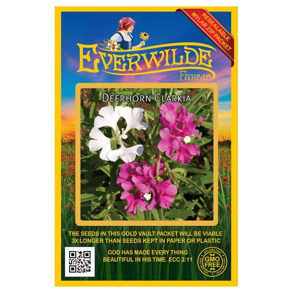 Everwilde Farms - 2000 Deerhorn Clarkia Native Wildflower Seeds - Gold Vault Seed Packet