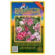 Everwilde Farms - 2000 Farewell to Spring Native Wildflower Seeds - Gold Vault Jumbo Bulk Seed Packet
