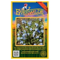 Everwilde Farms - 2000 Forget Me Not Garden Flower Seeds - Gold Vault Jumbo Bulk Seed Packet