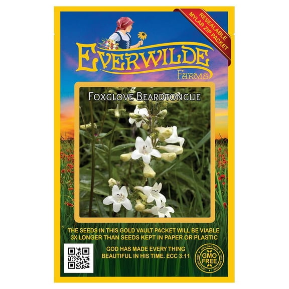 Everwilde Farms - 2000 Foxglove Beardtongue Native Wildflower Seeds - Gold Vault Seed Packet
