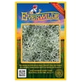 thumbnail image 1 of Everwilde Farms - 2000 Fringed Sage Native Wildflower Seeds - Gold Vault Seed Packet, 1 of 4
