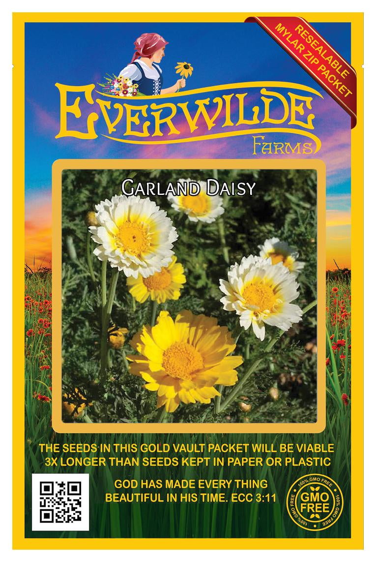 Everwilde Farms 2000 Garland Daisy Garden Flower Seeds Gold Vault