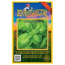 Everwilde Farms - 2000 Genovese Basil Herb Seeds - Gold Vault Jumbo Bulk Seed Packet