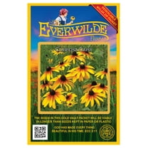 Everwilde Farms - 2000 Gloriosa Daisy Native Wildflower Seeds - Gold Vault Seed Packet