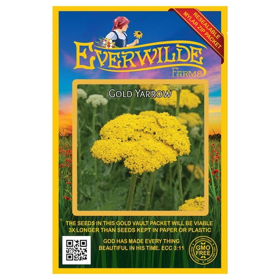 Everwilde Farms - 2000 Gold Yarrow Wildflower Seeds - Gold Vault Seed Packet