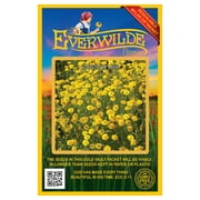Everwilde Farms - 2000 Goldfields Native Wildflower Seeds - Gold Vault Jumbo Bulk Seed Packet
