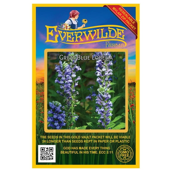 Everwilde Farms - 2000 Great Blue Lobelia Native Wildflower Seeds - Gold Vault Seed Packet