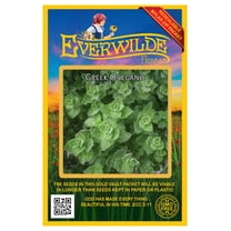 Everwilde Farms - 2000 Greek Oregano Herb Seeds - Gold Vault Seed Packet