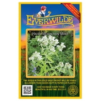 Everwilde Farms - 2000 Hairy Mountain Mint Native Wildflower Seeds - Gold Vault Seed Packet