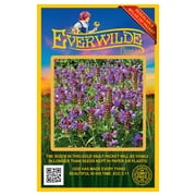 Everwilde Farms - 2000 Heal All Native Wildflower Seeds - Gold Vault Jumbo Bulk Seed Packet