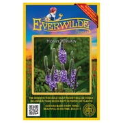 Everwilde Farms - 2000 Hoary Vervain Native Wildflower Seeds - Gold Vault Jumbo Bulk Seed Packet