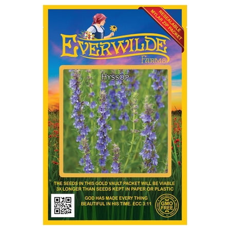 Everwilde Farms - 2000 Hyssop Herb Seeds - Gold Vault Jumbo Bulk Seed Packet