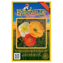 Everwilde Farms - 2000 Iceland Poppy Native Wildflower Seeds - Gold Vault Seed Packet
