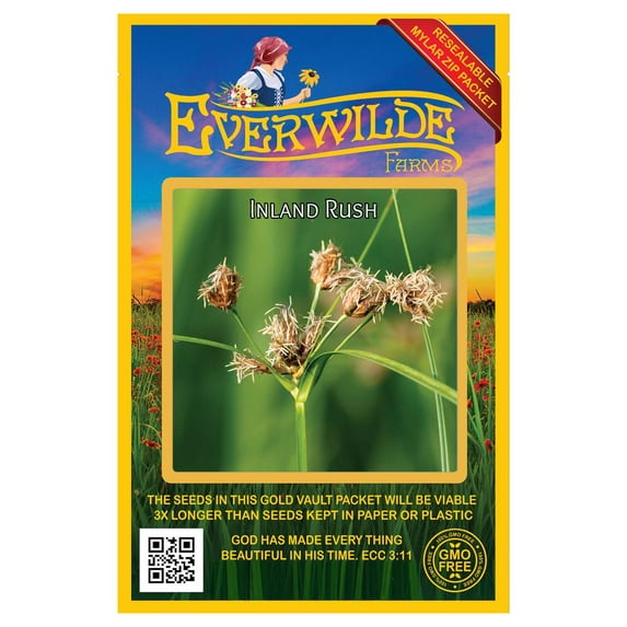 Everwilde Farms - 2000 Inland Rush Native Grass Seeds - Gold Vault Seed Packet