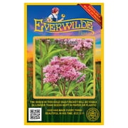 Everwilde Farms - 2000 Joe Pye Weed Native Wildflower Seeds - Gold Vault Seed Packet