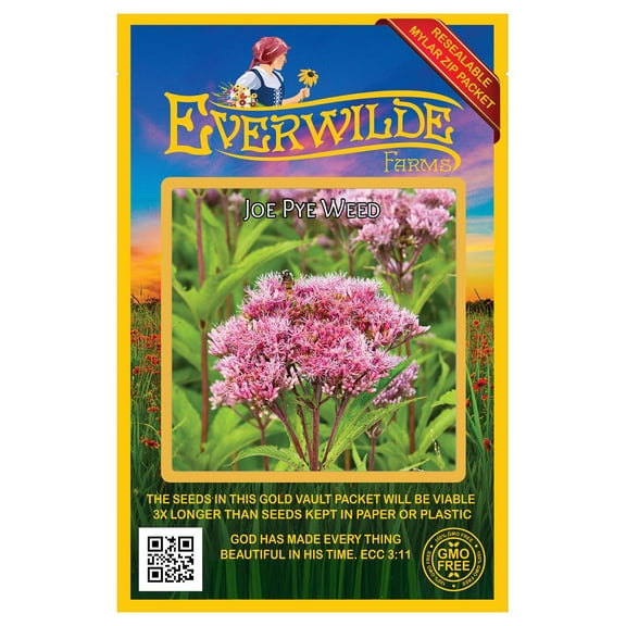 Everwilde Farms - 2000 Joe Pye Weed Native Wildflower Seeds - Gold Vault Seed Packet