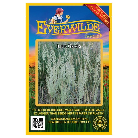 Everwilde Farms - 2000 June Grass Native Grass Seeds - Gold Vault Seed Packet