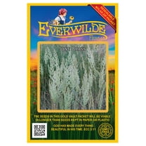 Everwilde Farms - 2000 June Grass Native Grass Seeds - Gold Vault Seed Packet