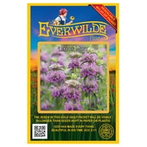 Everwilde Farms - 2000 Lemon Mint Native Wildflower Seeds - Gold Vault Jumbo Bulk Seed Packet