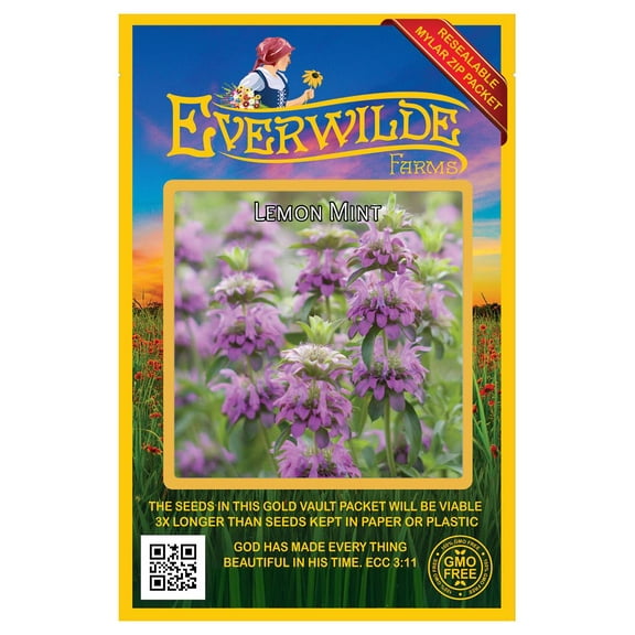 Everwilde Farms - 2000 Lemon Mint Native Wildflower Seeds - Gold Vault Jumbo Bulk Seed Packet