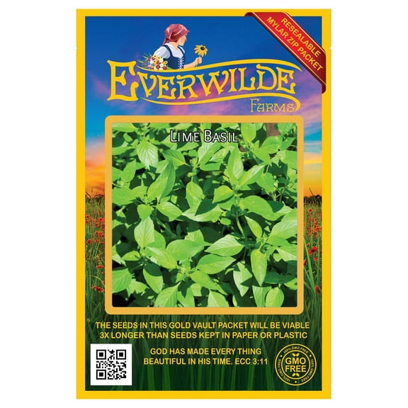Everwilde Farms - 2000 Lime Basil Herb Seeds - Gold Vault Jumbo Bulk Seed Packet