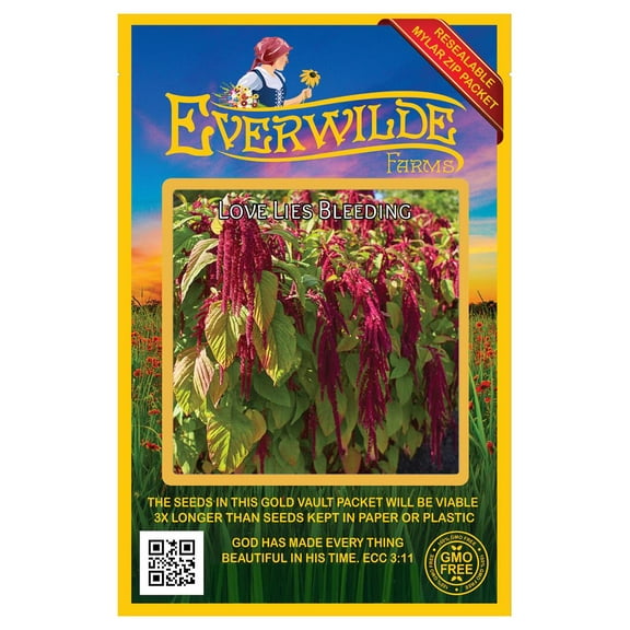 Everwilde Farms - 2000 Love Lies Bleeding Garden Flower Seeds - Gold Vault Jumbo Bulk Seed Packet