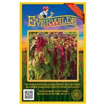 Everwilde Farms - 2000 Love Lies Bleeding Garden Flower Seeds - Gold Vault Jumbo Bulk Seed Packet