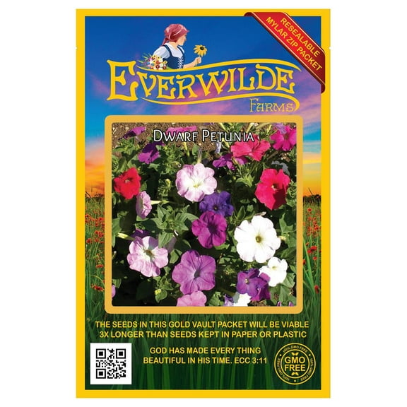 Everwilde Farms - 2000 Mixed Dwarf Petunia Garden Flower Seeds - Gold Vault Jumbo Bulk Seed Packet
