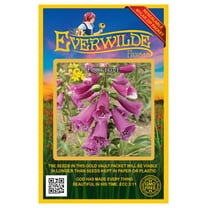 Everwilde Farms - 2000 Mixed Foxglove Garden Flower Seeds - Gold Vault Jumbo Bulk Seed Packet