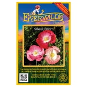 Everwilde Farms - 2000 Mixed Single Poppy Garden Flower Seeds - Gold Vault Jumbo Bulk Seed Packet