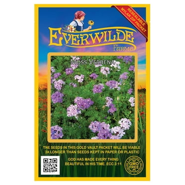 Everwilde Farms - 2000 Moss Verbena Garden Flower Seeds - Gold Vault Jumbo Bulk Seed Packet