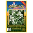 thumbnail image 1 of Everwilde Farms - 2000 Mountain Mint Native Wildflower Seeds - Gold Vault Seed Packet, 1 of 5