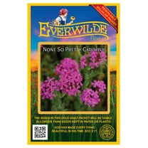 Everwilde Farms - 2000 None-so-Pretty Catchfly Wildflower Seeds - Gold Vault Seed Packet