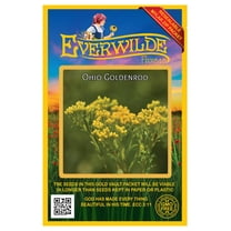 Everwilde Farms - 2000 Ohio Goldenrod Native Wildflower Seeds - Gold Vault Seed Packet