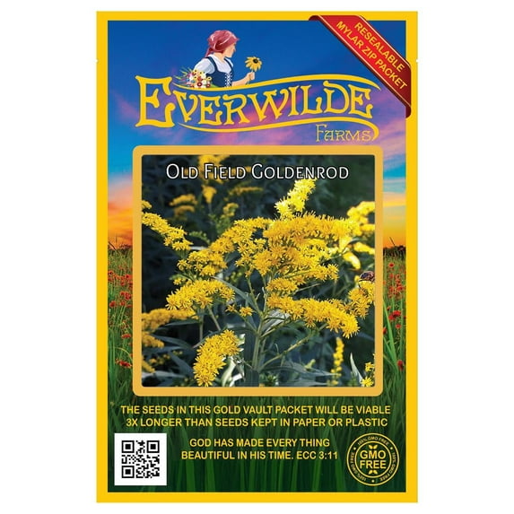 Everwilde Farms 2000 Old Field Goldenrod Flower Seed