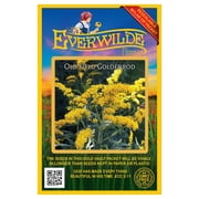 Everwilde Farms - 2000 Old Field Goldenrod Native Wildflower Seeds - Gold Vault Jumbo Bulk Seed Packet