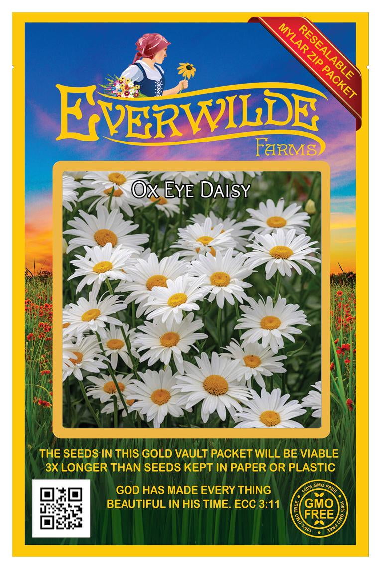Everwilde Farms 2000 Ox Eye Daisy Flower Seeds Rapid Growth Hardy