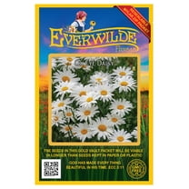 Everwilde Farms - 2000 Ox Eye Daisy Garden Flower Seeds - Gold Vault Jumbo Bulk Seed Packet