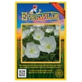 thumbnail image 1 of Everwilde Farms - 2000 Pale Evening Primrose Native Wildflower Seeds - Gold Vault Jumbo Bulk Seed Packet, 1 of 5