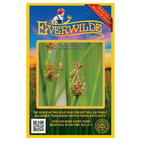 Everwilde Farms - 2000 Path Rush Native Grass Seeds - Gold Vault Seed Packet