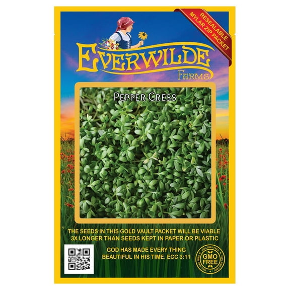 Everwilde Farms - 2000 Pepper Cress Herb Seeds - Gold Vault Jumbo Bulk Seed Packet